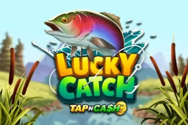 zeed baj